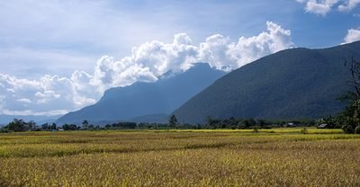 Chiang Dao: de berg Doi Chiang Dao boven een rijstveld
