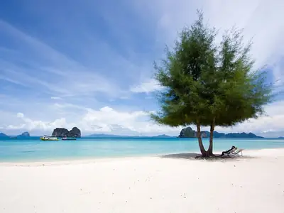 Beach with a tree on Koh Ngai