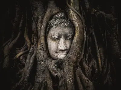 A Buddha head entwined in tree roots at Wat Mahathat in Ayutthaya