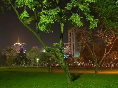 Lumphini Park in Bangkok at night under trees with city lights behind