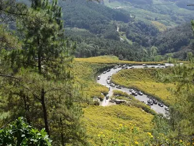 Mexican sunflower field with a stream winding through the valley at Mae U Kho