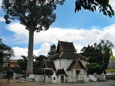 The small City Pillar shrine beneath a huge tree at Wat Chedi Luang in Chiang Mai
