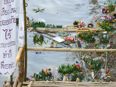 Krathongs of banana leaf and flowers floating in the Ping River the morning after Loy Krathong (Chiang Mai)