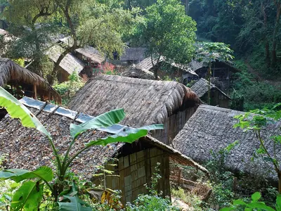 Rooftops of a Lisu village near Chiang Dao amid tropical greenery
