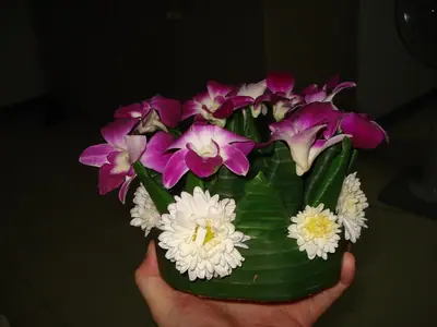 A hand holds a hand-made banana-leaf Loi Krathong with white and purple flowers