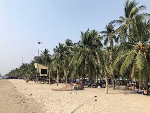 Strand van Bang Saen met palmbomen