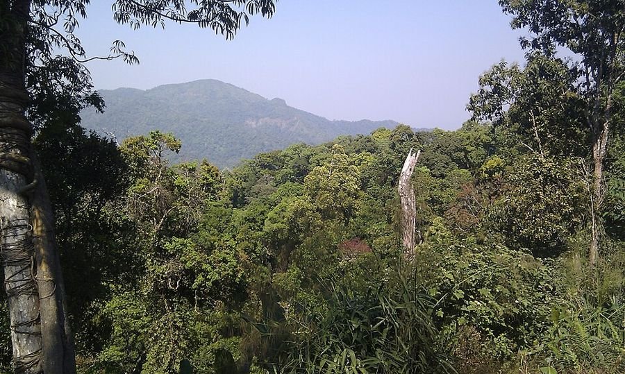 Kaeng Krachan Nationaal Park, Phetchaburi, Prachuap Khiri Khan, Thailand