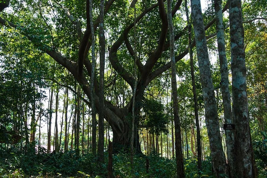 Khao Chamao–Khao Wong Nationaal Park, Rayong, Thailand