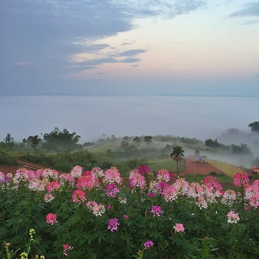 Khao Kho Nationaal Park, Phetchabun, Thailand