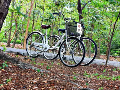 Bang Krachao (2)
