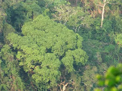 Nationaal Park Khao Yai (2)