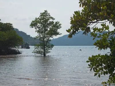 Koh Chang (3)