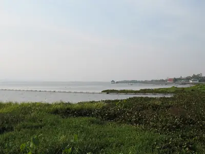 Phayao Lake(Kwan Phayao), Phayao Province.