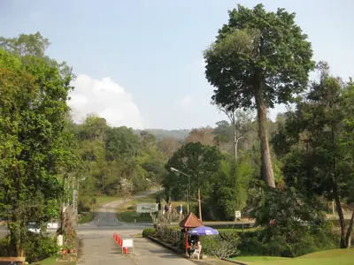 Botanische tuin Koningin Sirikit (2)
