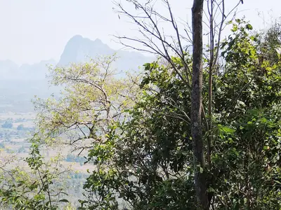 Nationaal Park Phu Kradueng (4)