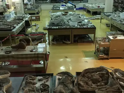 Sirindhorn-dinosaurusmuseum (2)