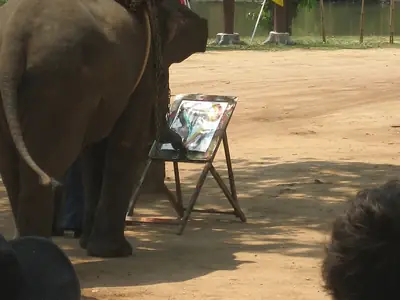 Elephant painting at the Thai Elephant Conservation Center, Lampang, Thailand