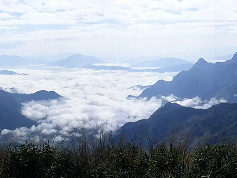 Phu Chi Fa, Chiang Rai