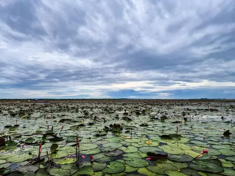 Red Lotus Lake, Chiang Haeo, Kumphawapi District, Udon Thani