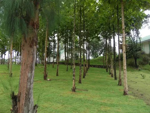 Suan Phueng, Suan Phueng District, Ratchaburi 70180, Thailand