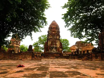 Prang omlijst door bomen, Wat Mahathat (Ayutthaya)