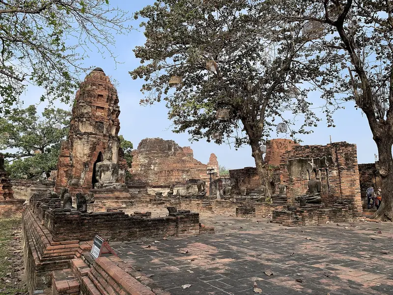 Bakstenen ruïnes in de schaduw van grote bomen, Wat Mahathat (Ayutthaya)