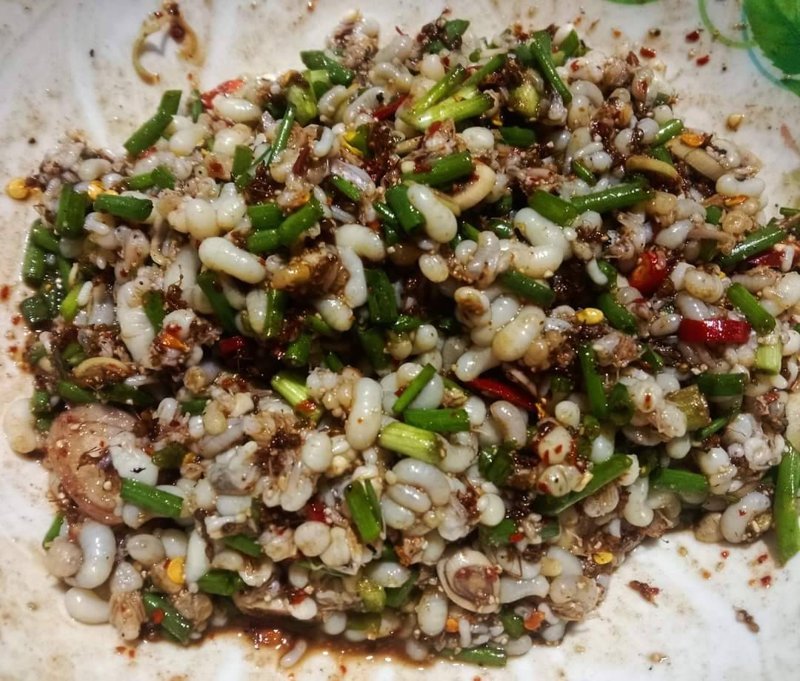 Yam khai mot daeng (salade van rode-mierenlarven) – ยำไข่มดแดง (Thais gerecht)